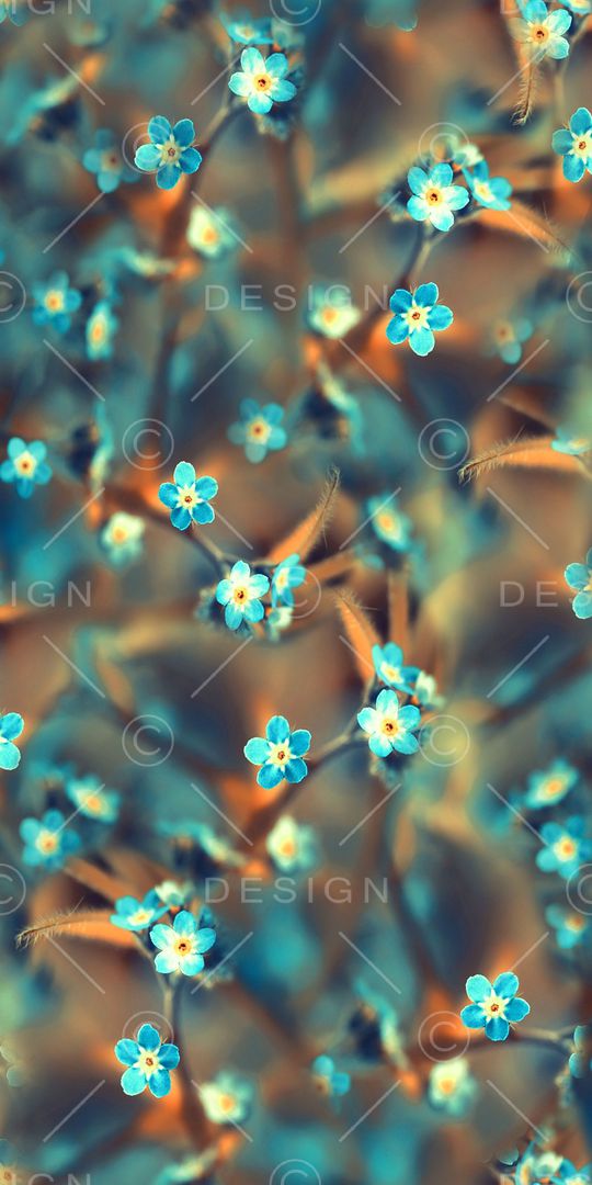 风景印花华亿平台图片