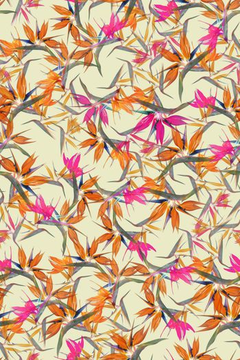 colorfull印花华亿平台图片