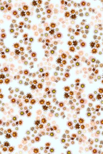 colorise印花华亿平台图片