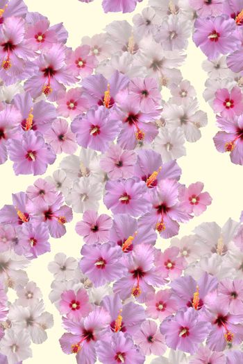 flower印花华亿平台图片