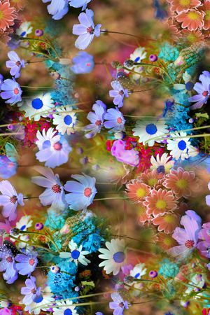 雏菊印花华亿平台图片