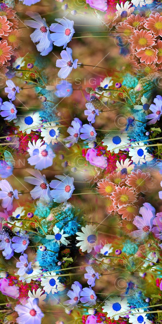 雏菊印花华亿平台图片