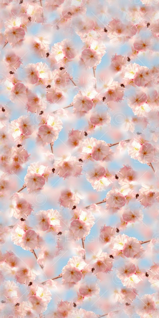 乱花印花华亿平台图片