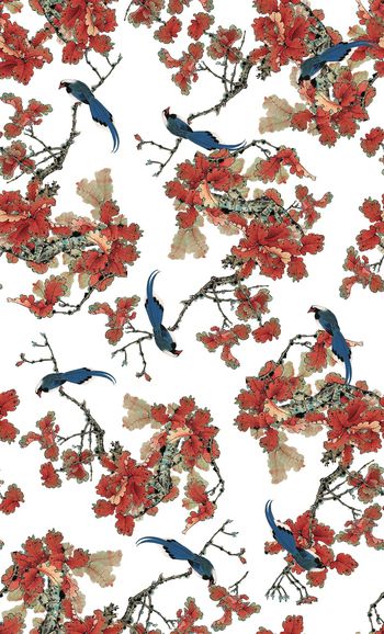 829943-中国风工笔画，水墨画枫叶，中国风鸟