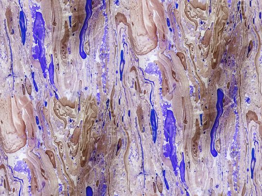 變形印花华亿平台图片