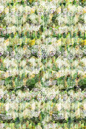 笔触印花华亿平台图片