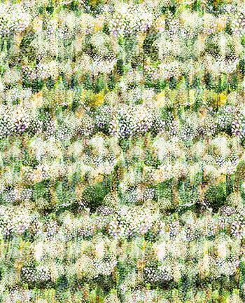 830178-DG35-1875_P (W-74