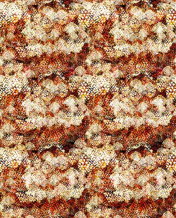 笔触印花华亿平台图片