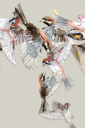 鸟印花华亿平台图片