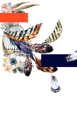 羽毛印花华亿平台图片