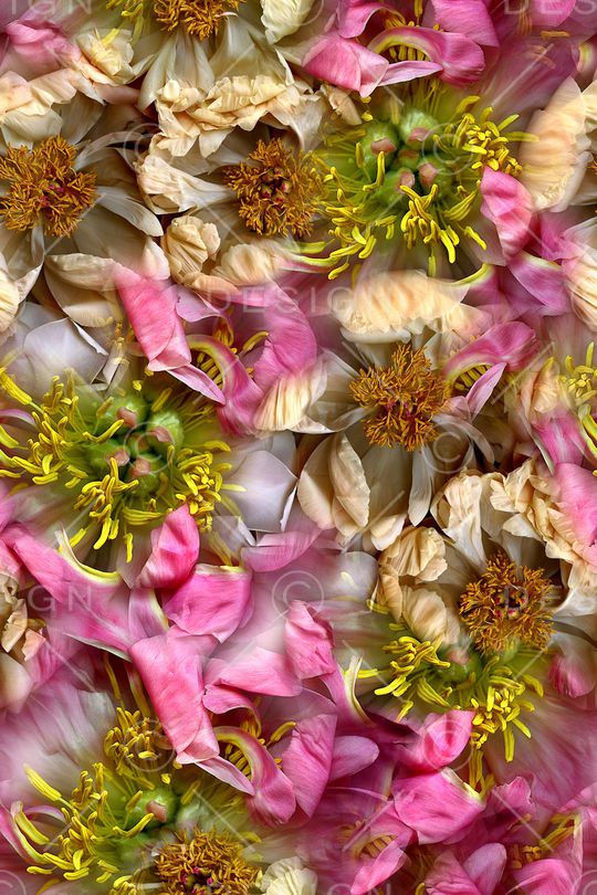 时尚印花华亿平台图片