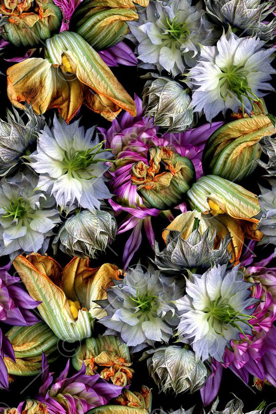 时尚印花华亿平台图片