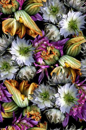 时尚印花华亿平台图片