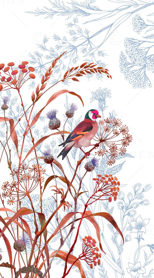 线描印花华亿平台图片