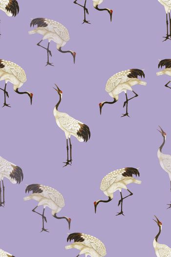 鸟印花华亿平台图片