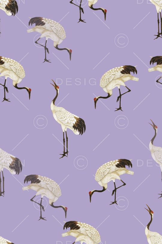 鸟印花华亿平台图片