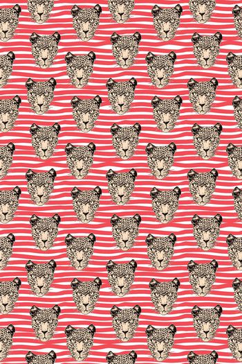 831401-条纹 豹子头--2