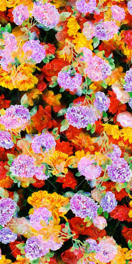 绣球花印花华亿平台图片