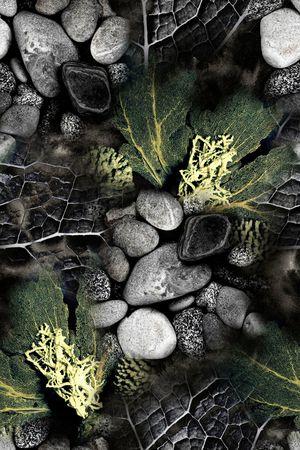 休闲印花华亿平台图片