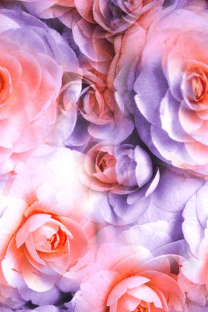 大花印花华亿平台图片