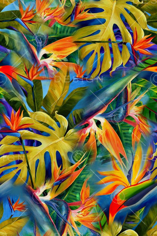 热带印花华亿平台图片