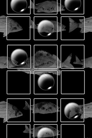 男装印花华亿平台图片