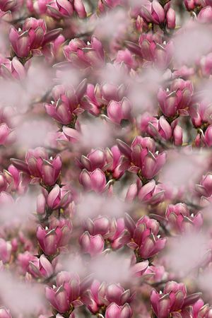 数码印花印花华亿平台图片