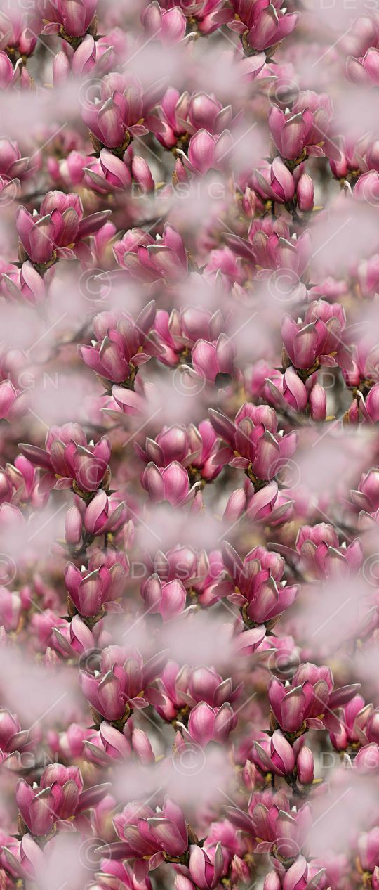 数码印花印花华亿平台图片