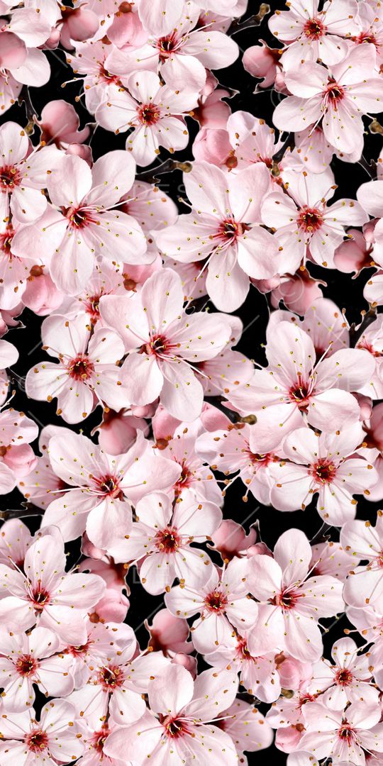 碎花印花华亿平台图片