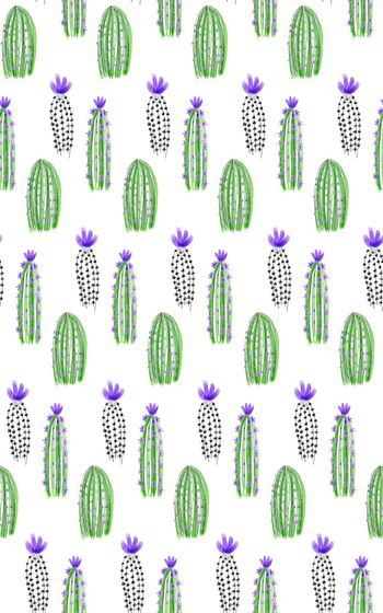 832811-仙人掌趣味插画