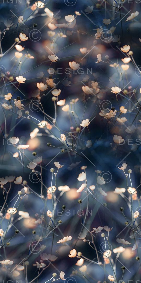 乱花印花华亿平台图片