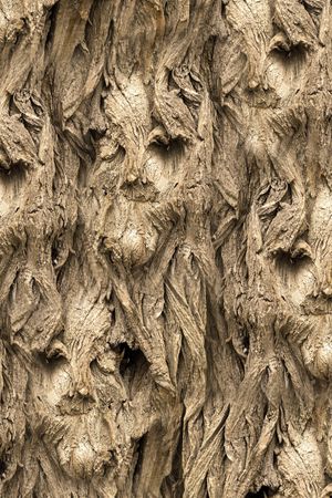 乱花印花华亿平台图片