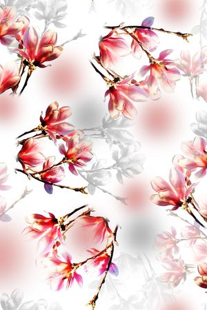 玉兰花印花华亿平台图片