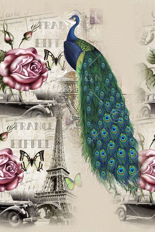 花鸟印花华亿平台图片