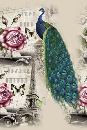 花鸟印花华亿平台图片