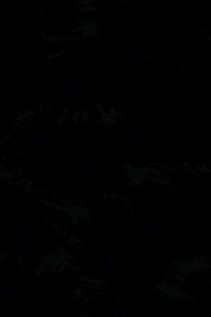 吊兰印花华亿平台图片