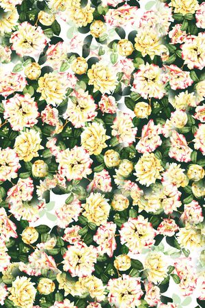 兰花印花华亿平台图片