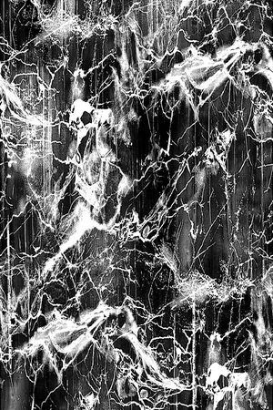 解构印花华亿平台图片