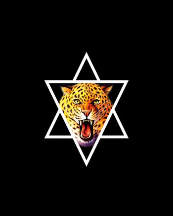 动物印花华亿平台图片