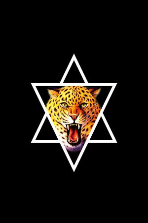 动物印花华亿平台图片