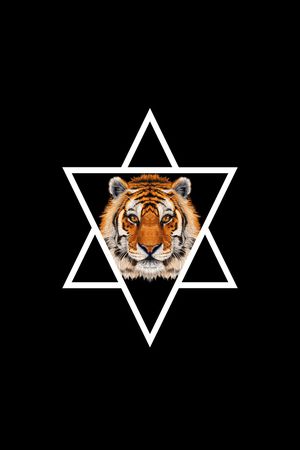 虎头印花华亿平台图片