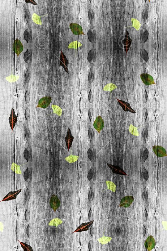 男装印花华亿平台图片