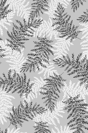 黑白印花华亿平台图片