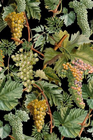 休闲印花华亿平台图片