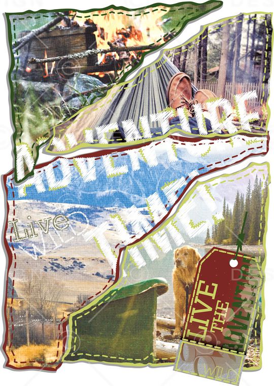 动物印花华亿平台图片