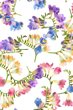 小清新印花华亿平台图片