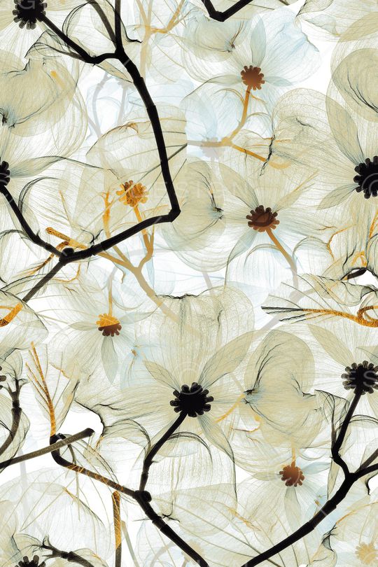 手绘花卉印花华亿平台图片