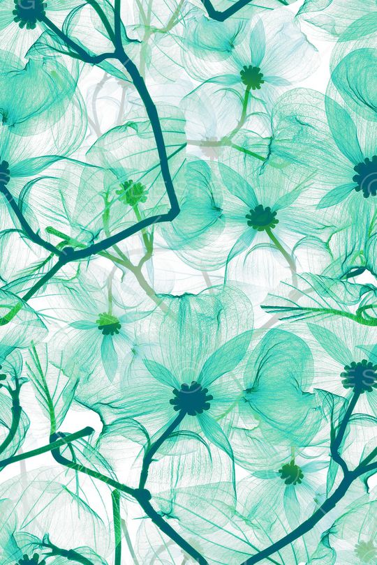 手绘花卉印花华亿平台图片