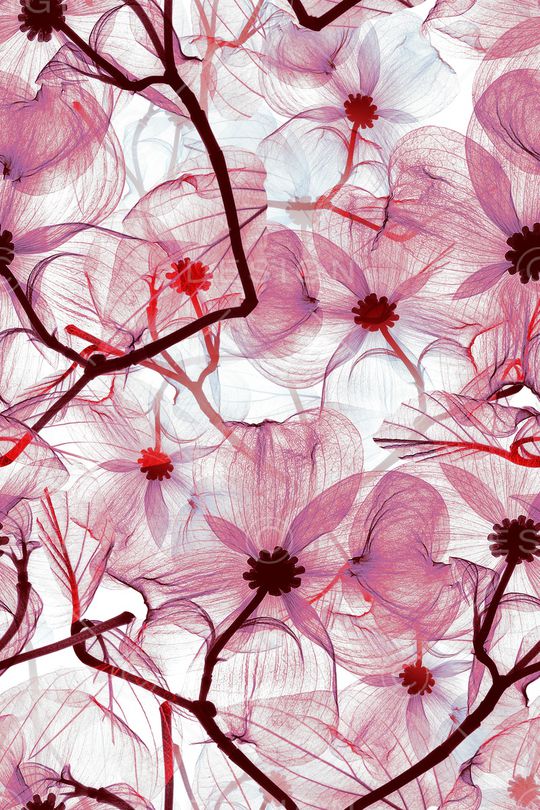 手绘花卉印花华亿平台图片