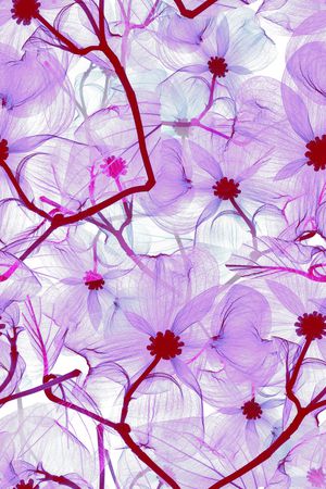 手绘花卉印花华亿平台图片